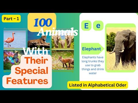 100 Animals and Their Amazing Special Features | Fun Animal Facts for Kids