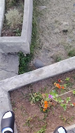 Exploring the Skyline Viewdeck in Bundok