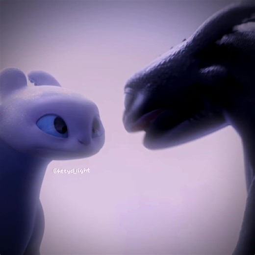 Toothless and Light Fury - Dragon Love Story