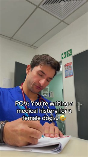 Writing a medical history for a female dog: vet school POV