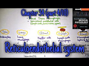 Reticuloendothelial sytem chapter 34 (part 4) Guyton and Hall text book of physiology.