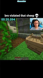 Minecraft Sheep Moment