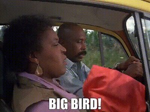 BIG BIRD!