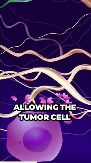 Tumor Cell Migration: Understanding the Journey of Cancer Cells #tumors #cells