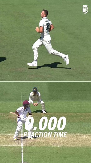 Catch It! Exciting Moments from AUS vs WI Cricket Match