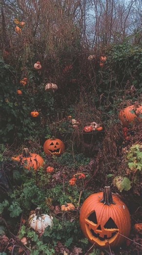 Rachel Waterman's 'The Return of Pumpkin Rabbit'