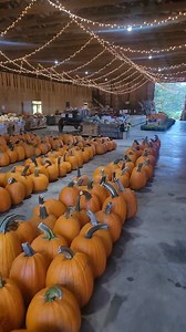 The rain has passed. Time to enjoy a one of a kind Fall Festival. | Freedom Farms