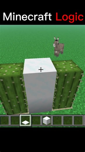 Minecraft Logic 😭 part 2 #minecraft #filter
