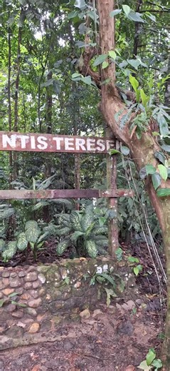 Kembara Tour: Exploring Mutiara Taman Negara Resort