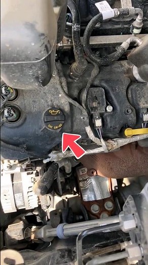 How to replace engine Oil and Filter Ford F150