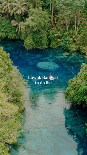 Open Trip Labuan Bajo & Tour Komodo on Instagram: "Luwuk Banggai di Sulawesi Tengah menyimpan keindahan alam yang luar biasa! Dengan pantai eksotis, air terjun jernih, dan kehidupan bawah laut yang memukau, tempat ini siap menawarkan petualangan yang tak terlupakan. 🌊💙 Nikmati ketenangan, jelajahi hidden gems yang jarang ditemukan, dan rasakan keindahan alam Indonesia yang sejati. 🏝️💚 Liburanmu akan lebih seru dengan Indonesia Juara Trip! Info trip & booking 👇 📲 WhatsApp: +6281128911991 (C