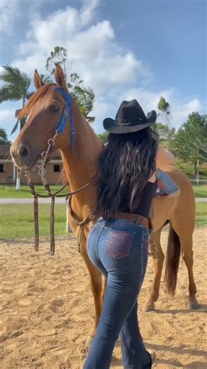 #followformore #pony #horse #ride #equestrian #animal #pet #funny #love #fyp #foryou #foryoupage | Celine