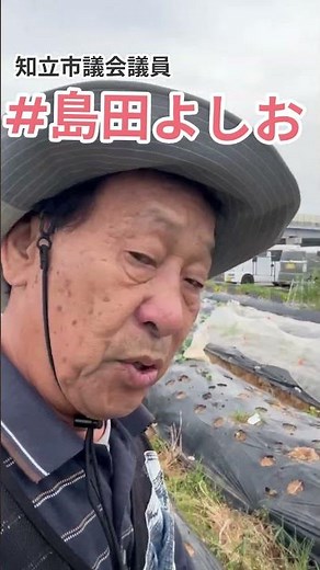 【菌ちゃん畑】自慢の菌ちゃん畑で朝の水やり！きゅうり・人参の夏対策と嬉しい枝豆の収穫サイン