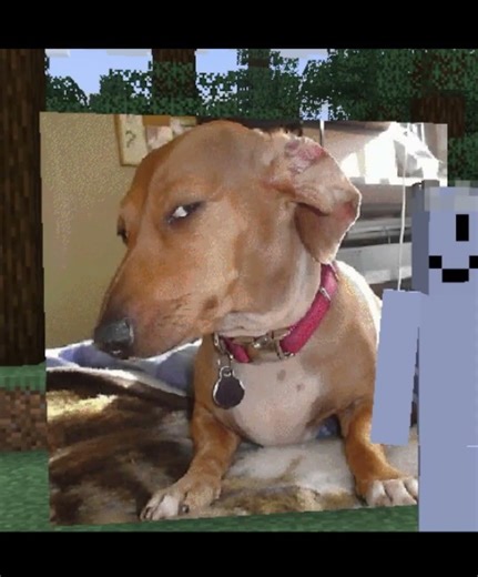 I might do something more interesting later on🔥😭 #minecraft #funny #building #entertainment