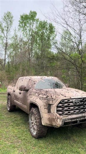 Hit da dig too hard | Dig Bar