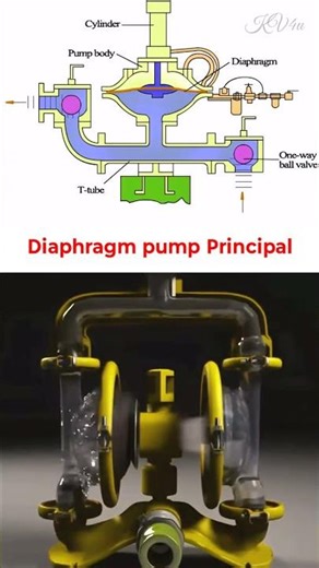 Diaphragm Pumps: The UNSUNG HEROES of Fluid Transfer You NEED to Know!