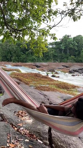 Keep calm and visit Suriname #visitsuriname #travelsuriname #fyp #suriname #travel #adventure #nature #wild #wildlife #swimming #tiktok