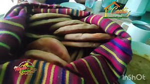 4K views · 70 reactions | #Padrillos_del_Perú...