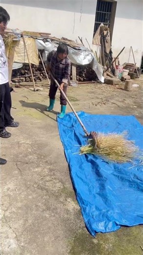 Why Small-Scale Farmers Still Use This ANCIENT Flail Tool