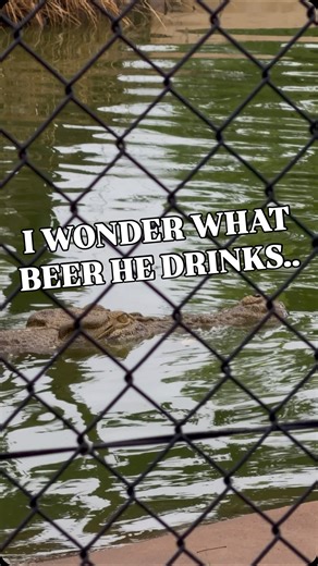 ‘I wonder what beer he drinks..’ A legitimate Top End query from my brother in law @paul_fantasia at the @barkhutinn 🍻🐊 | Wildman Adventures
