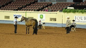 Draw #1 means that 14-18 Showmanship Preliminaries are underway! Only 119 to go... Stay tuned to EquineChronicle.com to see who makes the finals. #TheEquineChronicle #Showmanship #AQHAYouthWorld2018 | The Equine Chronicle