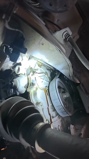 156K views · 278 reactions | Perks of having a wash bay and you can degrease engines before hand #mechanic | Honda Master Tech | Facebook