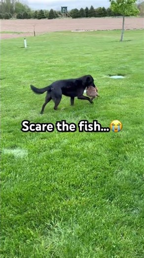 What age were you?😭✌️ #fishing #funny #relatable #jesuslovesyou #viral #shorts