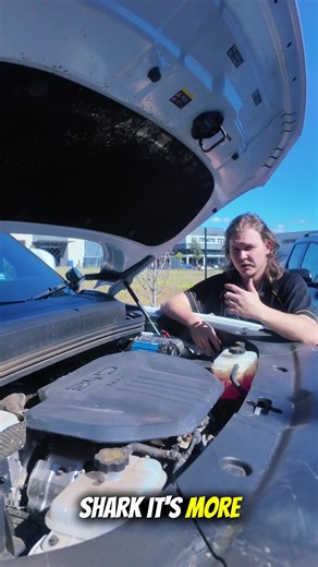  NEW YOUTUBE VIDEO IS OUT  We’ve just done a full comparison between the BYD Shark and GWM Cannon – and broken down all the key differences so you can see which EV 4x4 suits you best! ⚡ Dual motors vs traditional 4WD  Sunroof, rear GPOs & EV assist explained  Pros and cons for off-road and daily use Watch the full video on YouTube! https://youtu.be/e9vGPzJjEmM?si=MSF9X2shmDfaHePA #BYDShark #GWMCannon #CarComparison #Overlanding #4x4Life | Elevate Automotive | Facebook