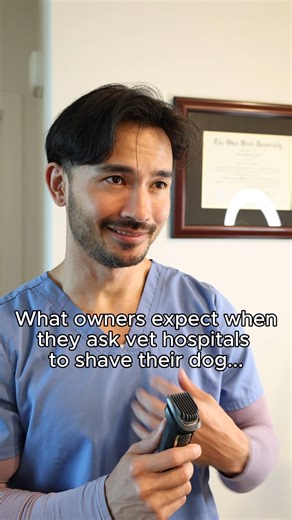 When you ask the vet hospital to shave your dog