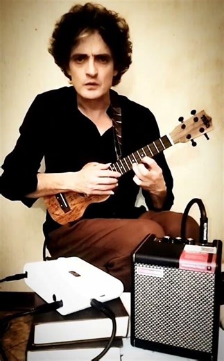 #ukulele #ozzyosbourne #crazytrain