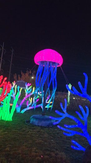 Amanda Lambert on Reels