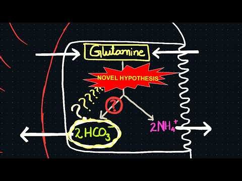 How are Bicarbonate ions Really generated during Renal Ammoniagenesis? - Novel Hypothesis