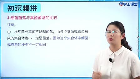 菌落及细菌菌落与真菌菌落的区别