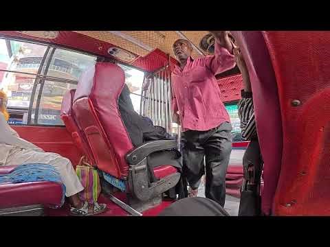 The Ultimate Local Bus Experience