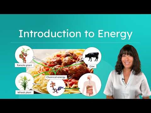 Introduction to Energy - Real-World Examples