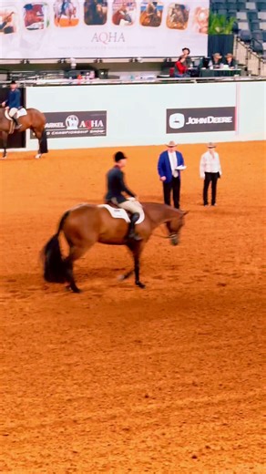 Kevin Dukes and George | Champions Equine Sports Therapy