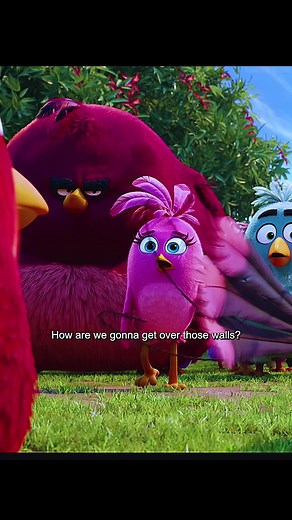 Angry Birds Movie Highlights and Epic Battles
