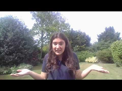 Campfire Songs: Brownie Songs