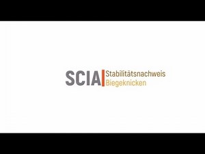 Stabilitätsnachweis Biegeknicken