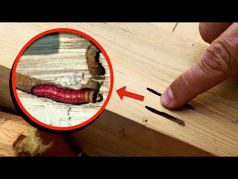 5 вещей, которые я узнал после УЖАСНОЙ работы с кровлей