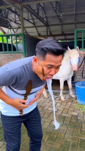 ayah kena eek kuda #short #funny #comedy #viral