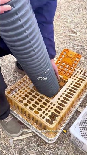Using Rabbit Instincts Against Them! 🐰 The Ultimate "Tunnel Trap"! #animals #farming