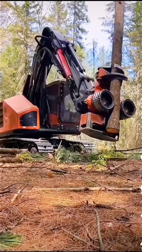 Powerful Tree Cutting Machine in Action 🇺🇸 | Modern Forestry Equipment USA #usatractor