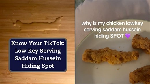 Why are TikTokers pointing out things that are "low key serving Saddam Hussein hiding spot?" | Know Your Meme
