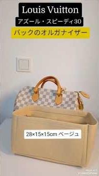 【Louis Vuitton】バックインバック/オルガナイザーで型崩れ防止&整理整頓！ルィヴィトン・スピーディ30 #shorts #louisvuitton #バックインバック