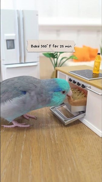 Ziki Bakes Bird Bread 👨‍🍳🍞 Harrison's Bird Foods Parrotlet Recipe Parrot Diet Budgies Lovebirds