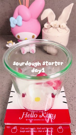 Sourdough Starter Day 1: My Baking Journey Begins!