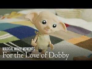 FOR THE LOVE OF DOBBY (IRL) | Harry Potter Magical Movie Moments