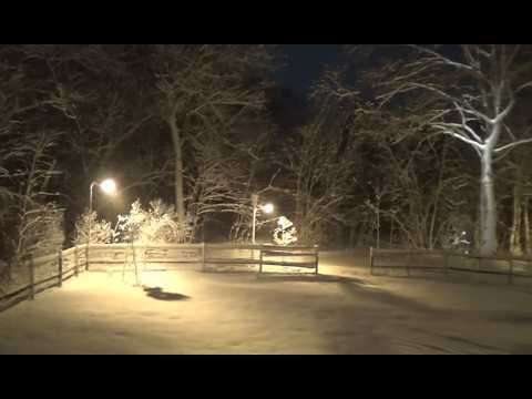 Blizzard 2/2026 | Full Storm 30-Hour Time Lapse