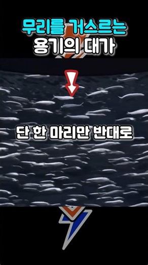 물고기 한 마리의 선택이 알려주는 리더십의 진실